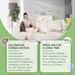 Jaysuing Formaldehyde Removal Spray New Home Office Renovation Removal Odor Removal Purification Spray_maomaolike.com