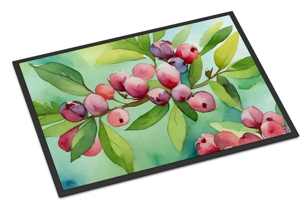 Connecticut Mountain Laurels In Watercolor Doormat Front Door Mat Indoor Outdoor Rugs For Entryway, Non Slip Washable Low Pile, 24H X 36W_maomaolike.com