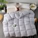 Solid Color Hotel Homestay Winter Dormitory Thickened Warm Core Fluffy Soft Four Seasons Spring Autumn Quilt_maomaolike.com