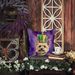 Cairn Terrier King Of Mardi Gras Throw Pillow Machine Washable, Indoor Outdoor Decorative Pillow For Couch, Bed Or Patio, 18Hx18W_maomaolike.com