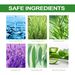Jue-Fish Insect Repellent, Indoor Household Cockroach Repellent Cockroach Repellent Spray To Prevent Mosquito Bites_maomaolike.com