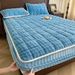 Class A Bubble Milk Velvet Sheet Single Piece Autumn Winter Thickened Coral Fleece Mattress Protector Bed Cover Three-Piece Set 1._maomaolike.com