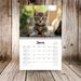 2025 Funny Cat Kitten Calendar, Funny Cat Kitten Selfies Calendar, Square Hanging Wall Calendar_maomaolike.com