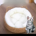 Nest Four Seasons Universal Handmade Vine Sleeping Mat Cat Scratching Board Production Summer Removable Washable Straw_maomaolike.com