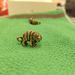 Brass Roaring Creative Keychain Zodiac Tiger Carving Ornament Pendant Antique Style Small Bronze Artifact_maomaolike.com