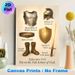 Armor Of God Themed Painting Poster, Warm-toned Detailed Biblical Armor Elements Poster, Inspirational Religious Verse Decor For Home, Church & Study_maomaolike.com