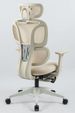 Ergonomic Office Chair With Footrest, High Back Computer Office Chair With Dynamic Lumbar Support, 2D Headrest, 2D Armrest, Sponge Seat, Mesh Home Office Desk Chair For Adults, CREAM_maomaolike.com