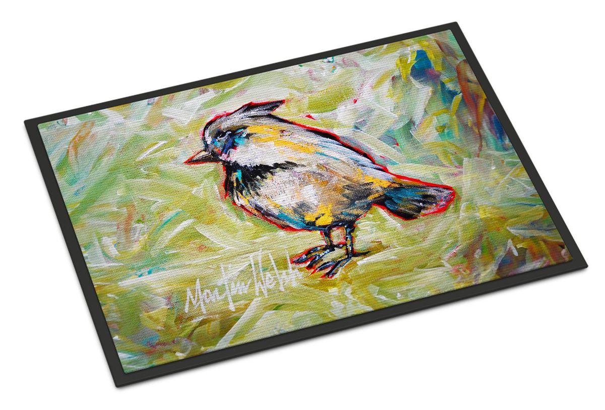 Be Blinkin Doormat Front Door Mat Indoor Outdoor Rugs For Entryway, Non Slip Washable Low Pile, 24H X 36W_maomaolike.com