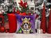 Saint Bernard King Of Mardi Gras Throw Pillow Machine Washable, Indoor Outdoor Decorative Pillow For Couch, Bed Or Patio, 14Hx14W_maomaolike.com