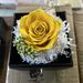 Eternal Rose real flower drawer necklace ring gift box Mother's Day Valentine's Day gift dried flower eternal flower jewelry box_maomaolike.com