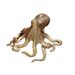Solid Brass Office Desk Small Ornament Octopus Bronze Tea Pet Decoration Craft Gift Handheld Plaything_maomaolike.com