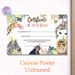 Jungle Animal Adoption Certificate Painting Poster, Watercolor Playful Party Jungle Animals Poster, Formal Yet Cheerful Adoption Documentation Ideal_maomaolike.com