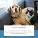 Jue-Fish Pet Repellent Cream, Pet Repellent Cream Cat And Dog Bite Disorderly Urine Bed Exclusion Zone Repellent Cream_maomaolike.com