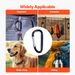 Caribeaner Clip Spring Snap Hook Keyring Camping Sports Karabiner 10 PCS_maomaolike.com