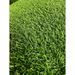 3FT*16FT Artificial Turf, Professional Dog Mat Large Turf Outdoor Carpet Terrace Pet Lawn, Artificial Carpet With Drainage Holes (Grass Height 0.78 Inches/2cm)_maomaolike.com