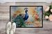 Peacock Doormat Front Door Mat Indoor Outdoor Rugs For Entryway, Non Slip Washable Low Pile, 24H X 36W_maomaolike.com