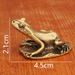 Sleeping Beauty Solid Ornament Turtle Carrying Office Desktop Frog Tea Pet Pure Brass Craft Copperware_maomaolike.com