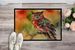 Elf Owl Doormat Front Door Mat Indoor Outdoor Rugs For Entryway, Non Slip Washable Low Pile, 24H X 36W_maomaolike.com