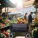Multi-Functional Push-Pull Folding Wagon Cart With Rotating Handle & 9"x4" Beach Tires For Camping & Beach –300L XL Heavy-Duty, Large Capacity For Transport, Groceries, And Outdoor Use_maomaolike.com