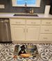Chocolate Lab Fall Kitchen Pumpkins Memory Foam Kitchen Mat Machine Washable Anti-Fatigue Mat Cushion Comfort Bath Mat Or Kitchen Rug_maomaolike.com