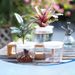 Garden Supplies Pack New G214 Fully Transparent Hydroponic Flower Pot Flower Arrangement Water Bottle_maomaolike.com