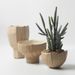 Nordic Style Tall Ceramic Vase Flower Pot Indoor Planter Green Radish Cactus Potted Plant With Holes Orchid_maomaolike.com