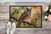 Long-Eared Owl Doormat Front Door Mat Indoor Outdoor Rugs For Entryway, Non Slip Washable Low Pile, 24H X 36W_maomaolike.com