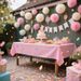 18Pcs Warm Tone Tissue Paper Pom Poms, Hanging Ornaments For Wedding, Birthday, Graduation, Perfect Party Decor & Gifts._maomaolike.com