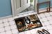 Japanese Chin Fall Kitchen Pumpkins Doormat Front Door Mat Indoor Outdoor Rugs For Entryway, Non Slip Washable Low Pile, 24H X 36W_maomaolike.com