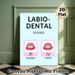Labio-Dental Sounds Educational Painting Poster, Clear Cartoon Lip Illustration Poster, Supports English Pronunciation Learning, Ideal For Language_maomaolike.com