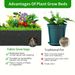 3PCS Growth Bag, Square Elevated Garden Bed, Planting Pot, With Handle, Suitable For Indoor And Outdoor Vegetable And Flower Planting_maomaolike.com