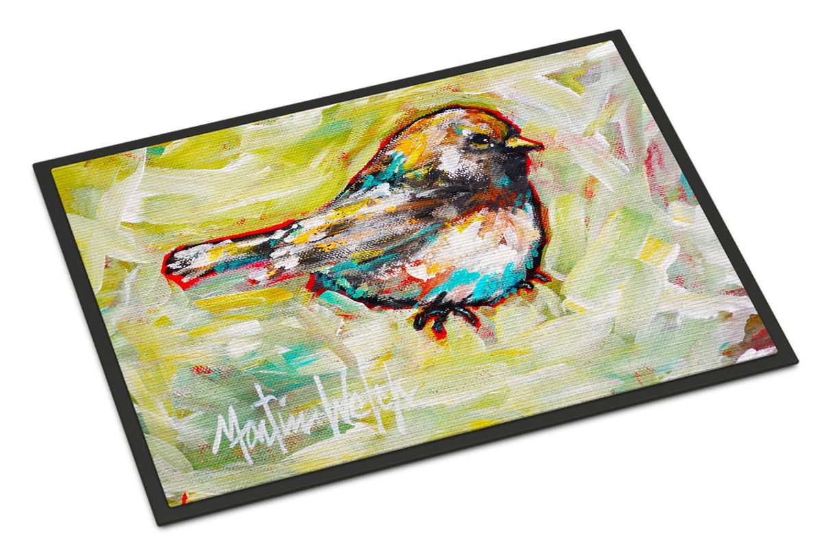 Be Winkin Doormat Front Door Mat Indoor Outdoor Rugs For Entryway, Non Slip Washable Low Pile, 24H X 36W_maomaolike.com