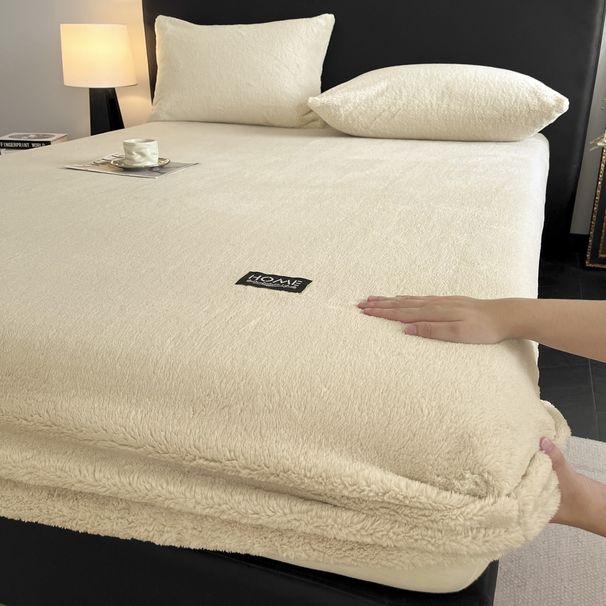 Winter Milk Velvet Protector Coral Fleece Mattress Cover Dirt-Proof Single Full Wrap Bed Sheet_maomaolike.com