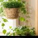 Hanging Plants, Baskets, Hanging Pots_maomaolike.com