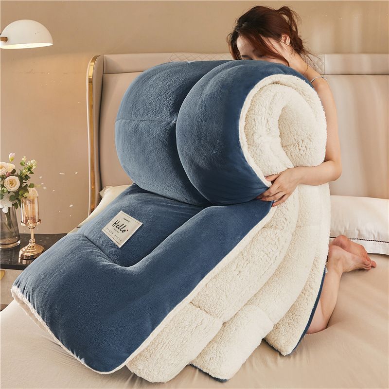 Thickened Lamb Wool Milk Cotton Single And Double Bedding Double-Sided Velvet Core Student Dormitory Winter Quilt_maomaolike.com