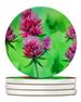 Vermont Red Clover In Watercolor Large Sandstone Coasters Pack Of 4 Absorbent Round Coasters Decor Gifts For Men Or Women, 4 In, Multicolor_maomaolike.com