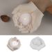 DIY Silicone Mold For Resin, Cement, Plaster To Make Ashtray Trays, Storage Candle Holders, And Desktop Decorations With_maomaolike.com