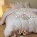 Princess Style Winter Thickened Three-Dimensional Cut Milk Lace Four-Piece Set Solid Color Double-Sided Velvet Duvet Cover Bedding_maomaolike.com