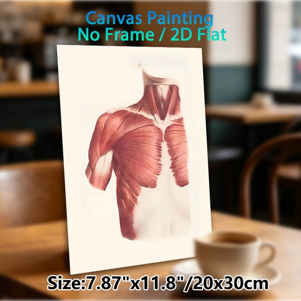 Human Upper Torso Muscle Anatomy Painting Poster, Detailed Vintage-style Anatomical Illustration Poster, Educational Reference Ideal For Medical_maomaolike.com