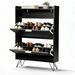 two Compartments Two Hooks Side Panels Slatted Front Panel Shoe Racks Cabinets With Top Flip-up Lids_maomaolike.com