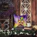 Norwich Terrier King Of Mardi Gras Throw Pillow Machine Washable, Indoor Outdoor Decorative Pillow For Couch, Bed Or Patio, 14Hx14W_maomaolike.com