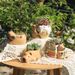 Succulent Resin Flower Pot, Desktop Cartoon Decorative Ornament, Outdoor Garden Decoration_maomaolike.com