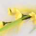 Cross-border Macaron Feather Grass Bouquet, Faux Green Plants, Artificial Flowers, Reed Wreath, Cuttings, Flyling Grass,_maomaolike.com