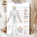 Meridian Chart Painting Poster, Clear Color-coded Human Meridian Map Poster, Informative Reference For Traditional Chinese Medicine Learning, Suitable_maomaolike.com