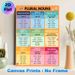 Plural Nouns Educational Painting Poster, Colorful Structured English Grammar Guide Poster, Practical Reference For Mastering Plural Noun Rules_maomaolike.com