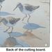 Sandpipers Glass Cutting Board Decorative Tempered Glass Kitchen Cutting And Serving Board Large Size Chopping Board_maomaolike.com