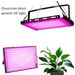 LED Full Spectrum Plant Growth Lamp Quantum Board Hanging Greenhouse Succulent Flower Tent Seedling Planting_maomaolike.com
