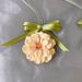 Plant Aromatherapy Diffuser Stone Paste Begonia Flower Car Hanging Ornament Wardrobe Cabinet Deodorizer Long-lasting Solid Fragran_maomaolike.com