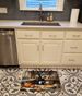 Schnauzer Fall Kitchen Pumpkins Memory Foam Kitchen Mat Machine Washable Anti-Fatigue Mat Cushion Comfort Bath Mat Or Kitchen Rug_maomaolike.com