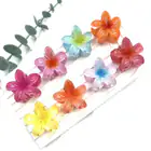 Hair Clips_maomaolike